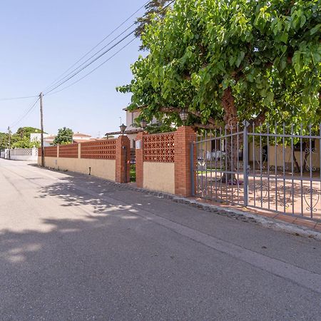 Apart-Rent Casa Con Jardin Pani 0081 Empuriabrava Eksteriør billede